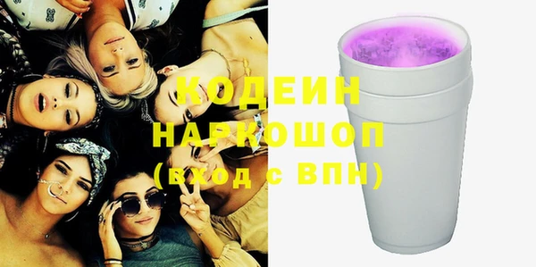 сатива Новодвинск