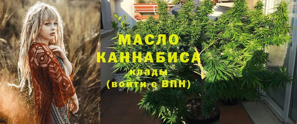сатива Новодвинск