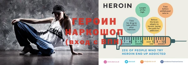 сатива Новодвинск
