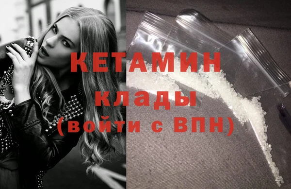 сатива Новодвинск