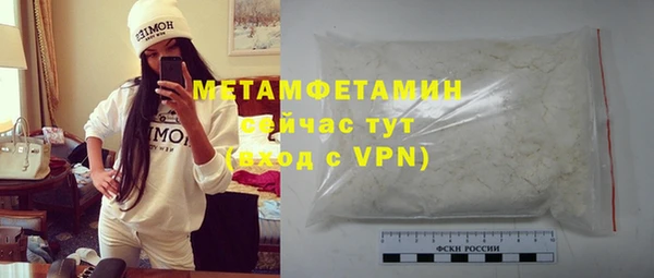 сатива Новодвинск