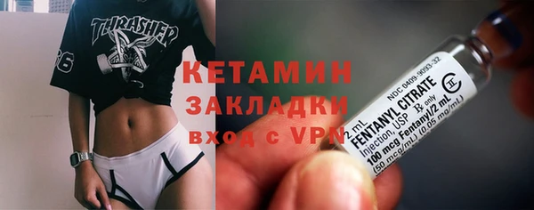 сатива Новодвинск
