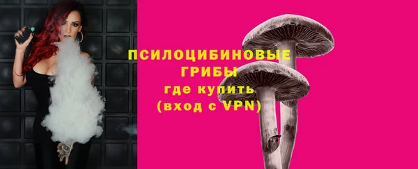 ГАЛЛЮЦИНОГЕННЫЕ ГРИБЫ Новокубанск