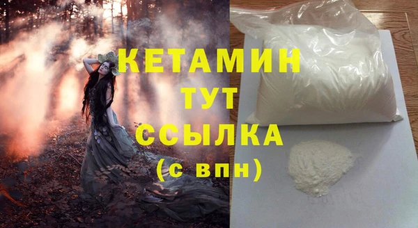сатива Новодвинск