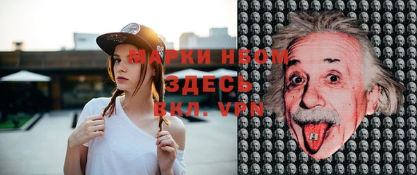 сатива Новодвинск
