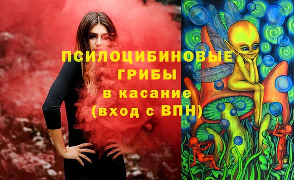 ГАЛЛЮЦИНОГЕННЫЕ ГРИБЫ Новокубанск
