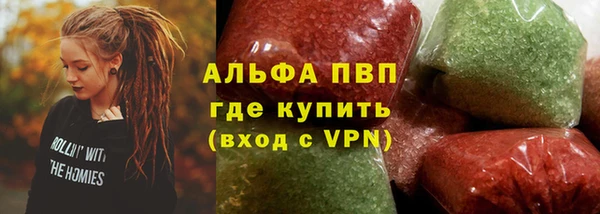 сатива Новодвинск