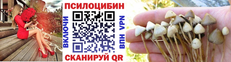 хочу   Андреаполь  shop Telegram  Псилоцибиновые грибы ЛСД 