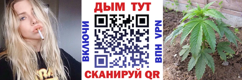 Бошки Шишки AK-47  MEGA ONION  Андреаполь  купить  цена 